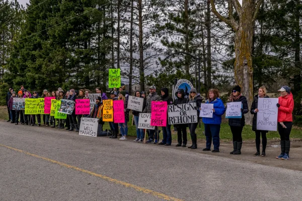 The Truth about Wishing Well Sanctuary