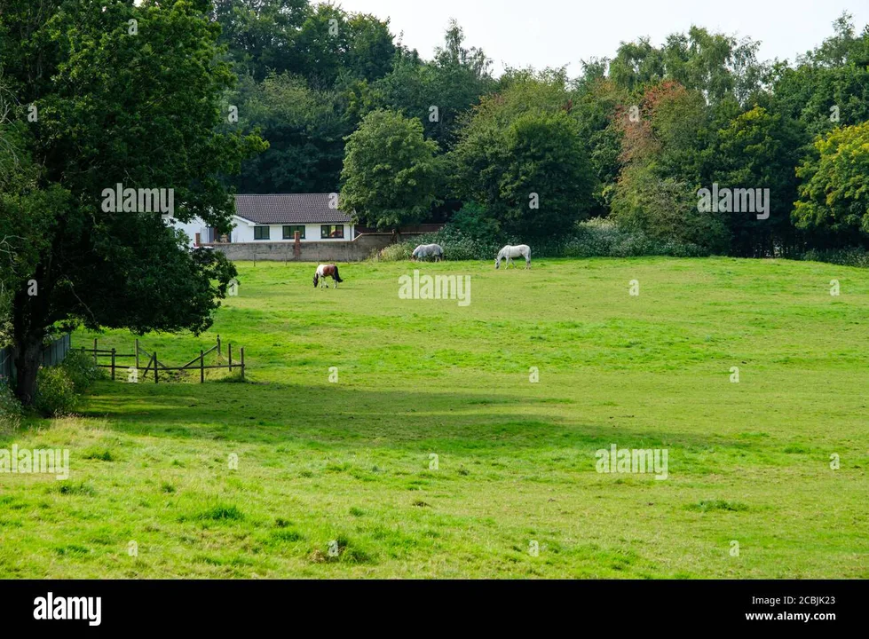 Stop the Burgess Farm Development Petition