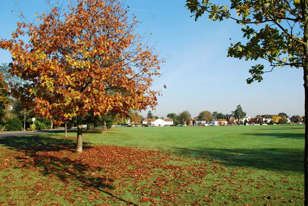 RESOLVING THE GIGGS HILL GREEN JUNCTION