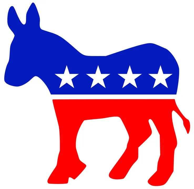Democratic Party - Stop This Nonsense