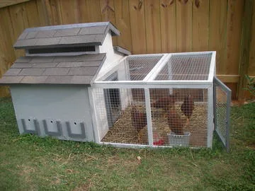 Legalize Backyard Chickens in Mishawaka