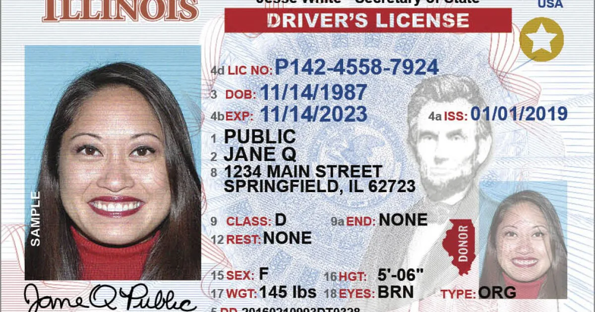 Oppose Illinois' bill on driver's licenses for illegal immigrants