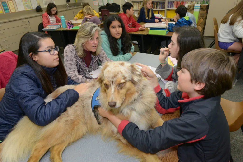 Bring Atticus Back to 6th Gr. Reading