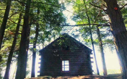Save Thomas Mountain Cabin