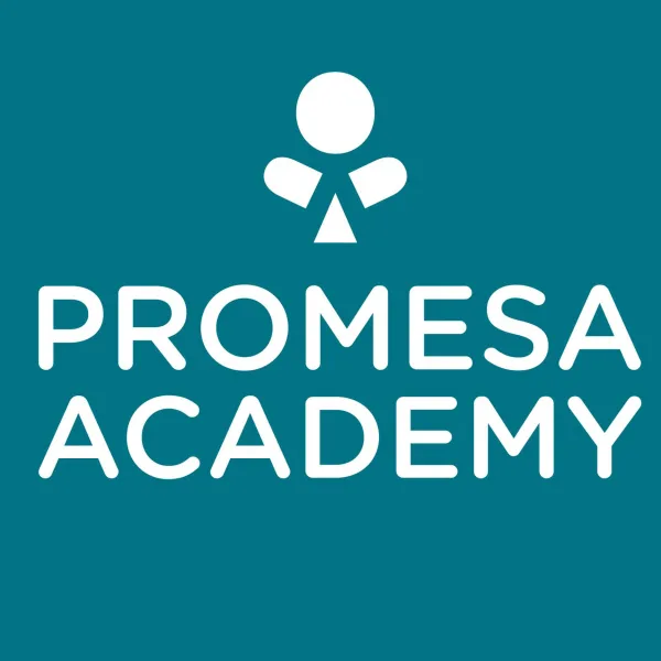 Saving Promesa