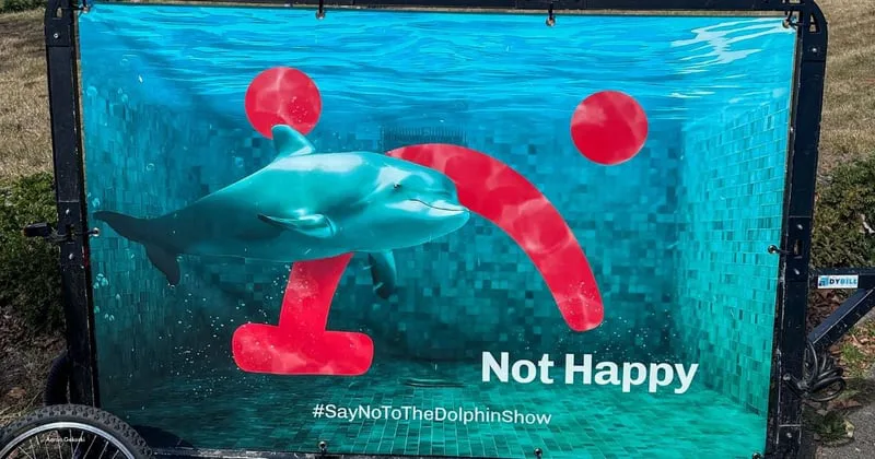 Stop Dolphin Massacure!