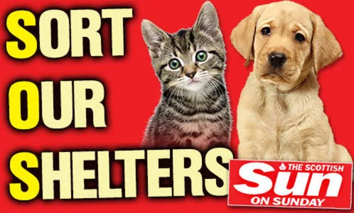 Join The Scottish Sun On Sunday's battle to end pet refuge cruelty