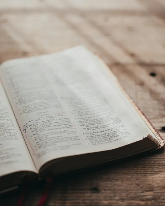 A Biblical Point of View Concerning Same-Sex Marriage