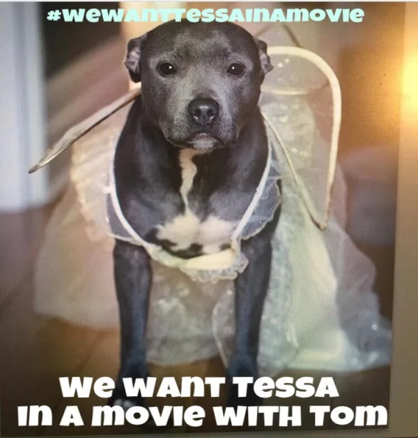 We want Tessa in a movie with Tom