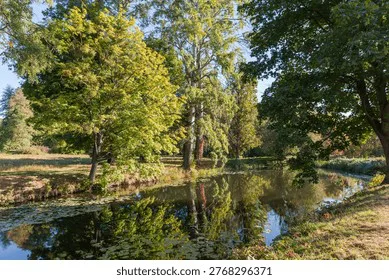 Stop the Wellington Canal Tree Removal