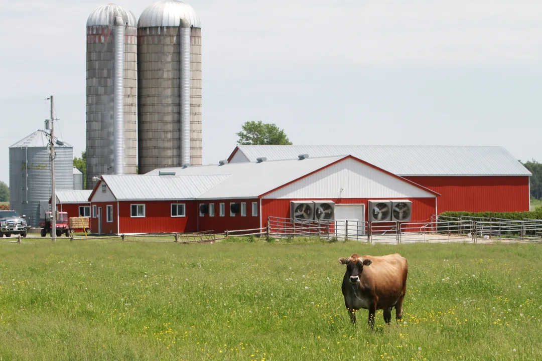 SUPPORT CANADIAN DAIRY ***** SOUTENEZ L’INDUSTRIE LAITIÈRE CANADIENNE