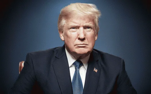 Stop the second impeachment of Donald J Trump