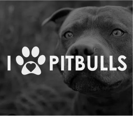 Save SA Pit Bulls