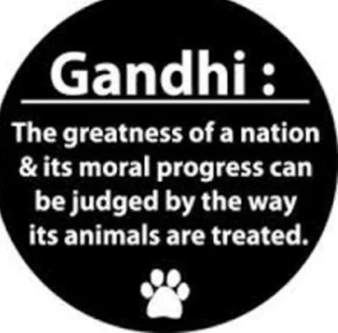 Petition to Donate Granite Bench Memorial