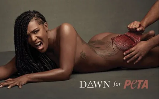 Display D∆WN’s Leather is a Rip-off PETA ad nationwide