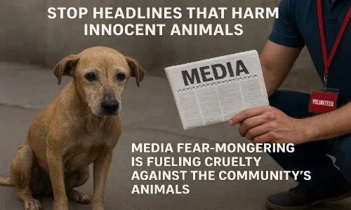 Media Must Do Better: Protect Animals from Harmful Headlines