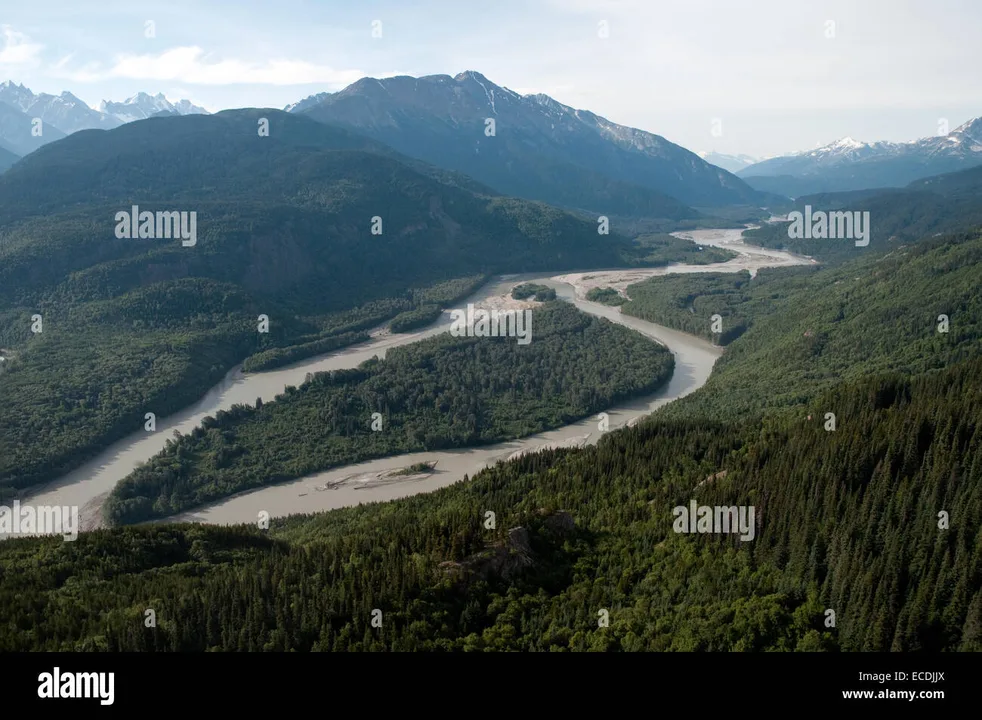 Protecting the Stikine, Skeena, and Nass Rivers