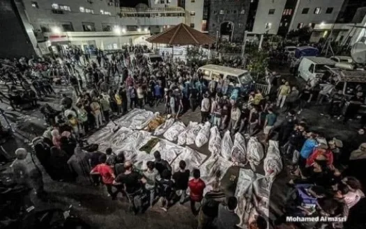 Immediate Cease fire in Gaza and Full access to Humanitarian Aids