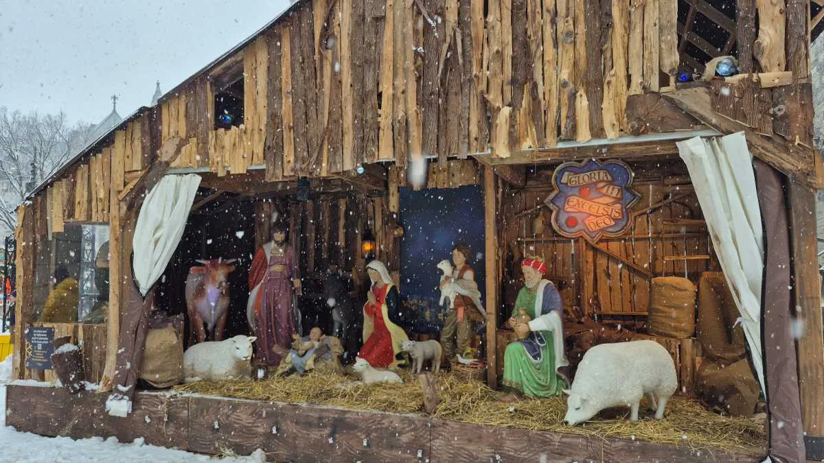 creche a ville Mont-Royal