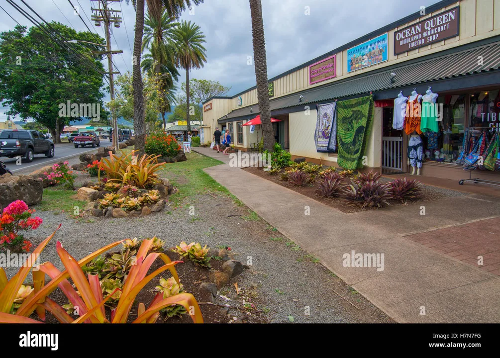 Petition Against Liquor License for Tamura's Fine Wine & Liquors 98-302 Kamehameha Highway, Aiea Hawaii