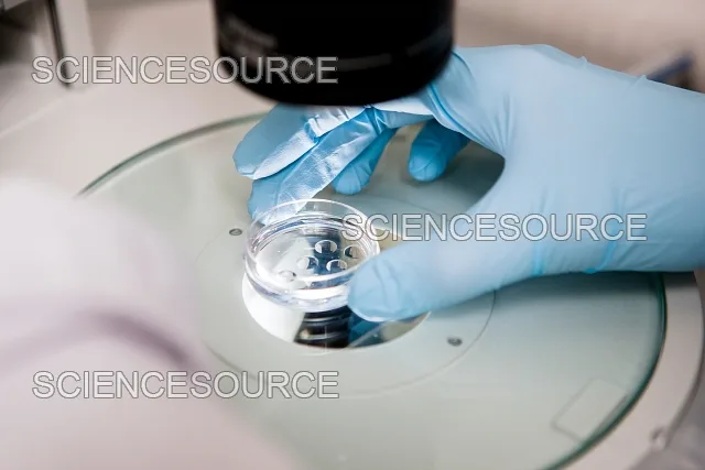 Social Workers Support the Stem Cell Research Enhancement Act of 2005