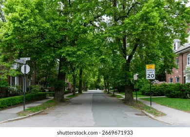 Treble Cove Sidewalks