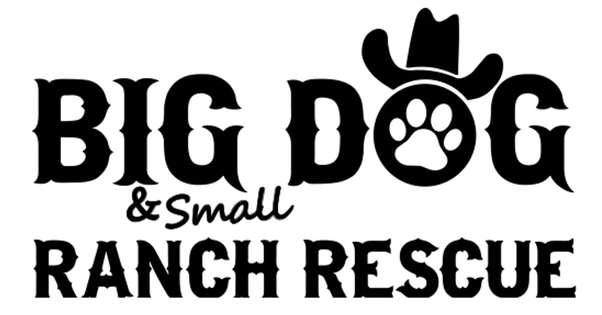 Help BDRR move to their new home!
