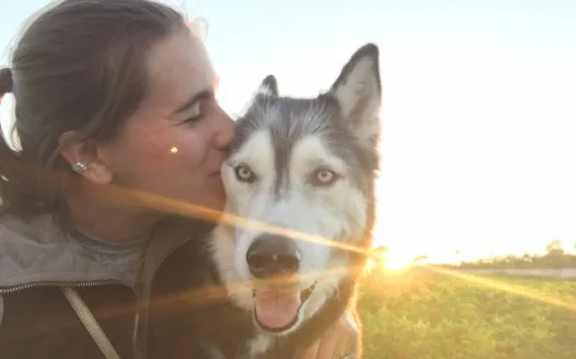 Veteran Memorial Dog Park