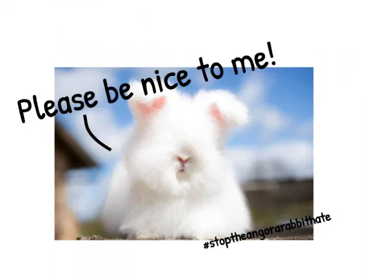 Angora Rabbit Lovers