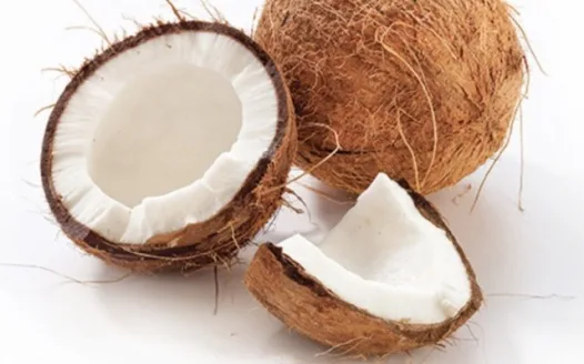 Make Coconuts Mammals