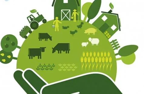 Sustainability on Xavier's Campus