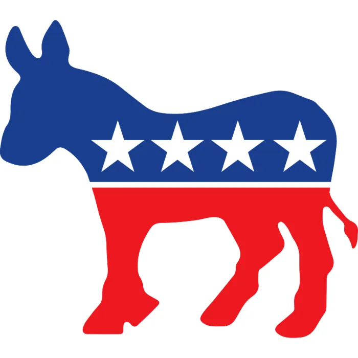 Replace Obama on the Democratic Ticket