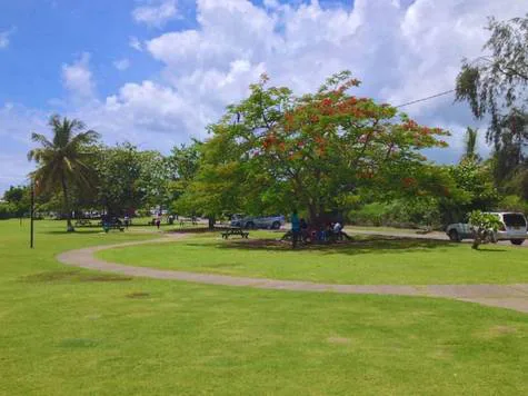 SAVE CAMERHOGNE PARK