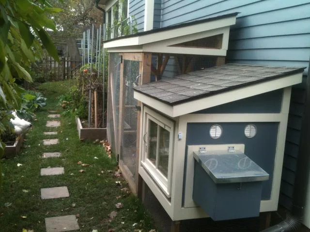 Petition to allow Sudbury residents to have backyard chickens.