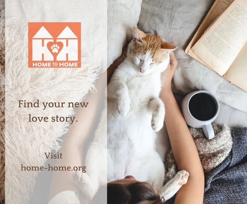 Help Elise keep Sunday; The Kitten!!!