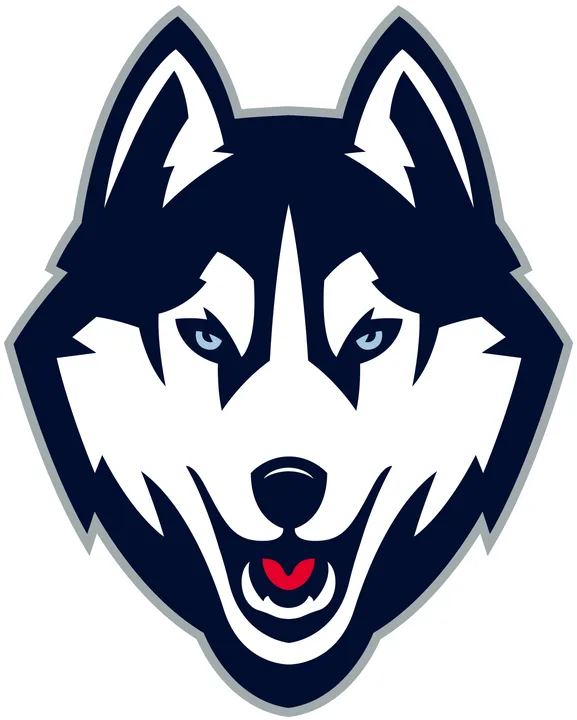 UConn Universal Online Class Petition