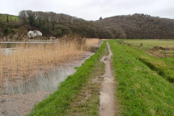 Save the Calstock fields
