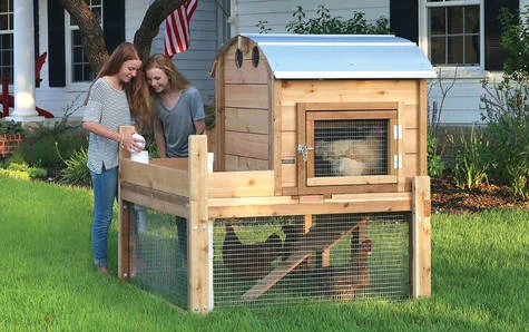 I support backyard chickens in the Village of Channahon