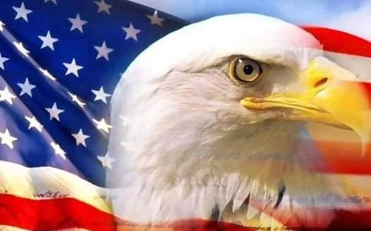 Petition to Introduce a Second Amendment Protection Ordinance for Brown County Indiana