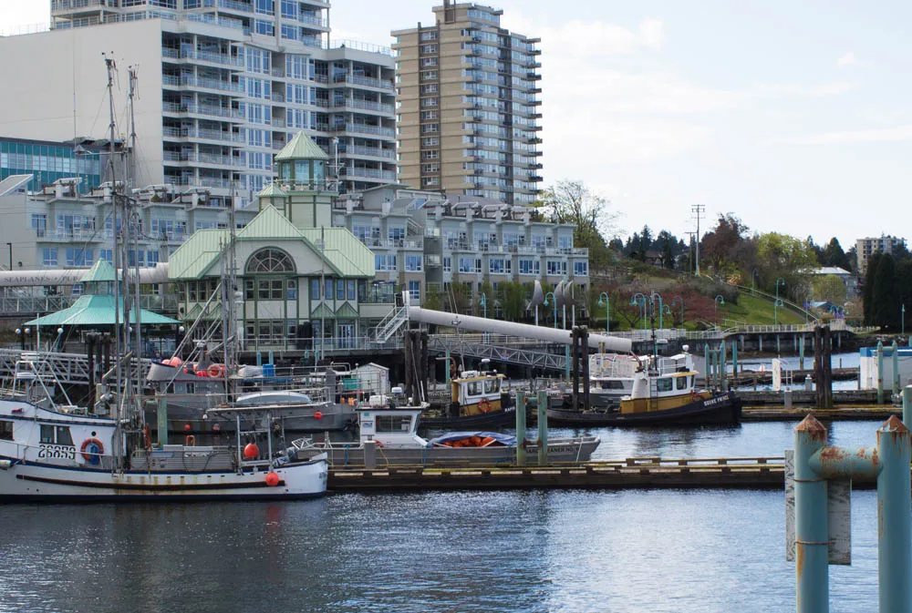 Nanaimo Needs a  Multiplex