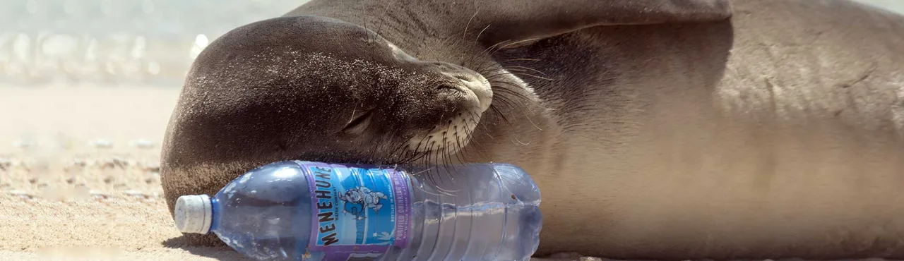 Make the Change Today and RECYCLE!
