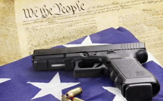 Protect the 2nd Amendment in Augusta County