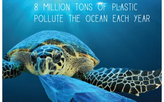 Let's save the turtles!!!!
