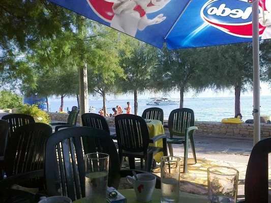 Petition to Prevent the Closure of Beach Bar Bistrica