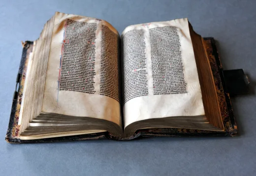 Publish a leather-bound Clementine Vulgate Bible