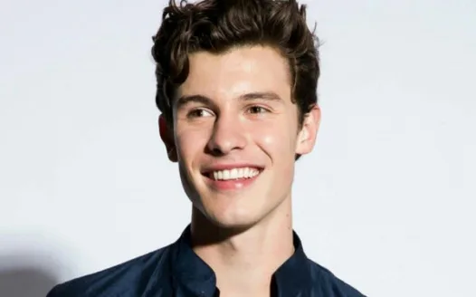 Mission Shawn Mendes To India In 2019
