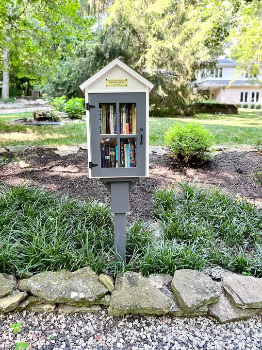 Eisenhower Village Neighborhood Library Box