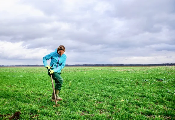 Save Our Planet with Regenerative Agriculture - Letter to California Governor Newsom