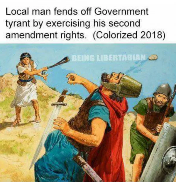 'Red Flag' Laws are Null-n-Void