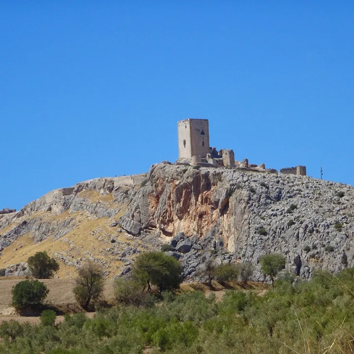 SALVEMOS LOS CASTILLOS DE MONTIEL (Ciudad Real, España)